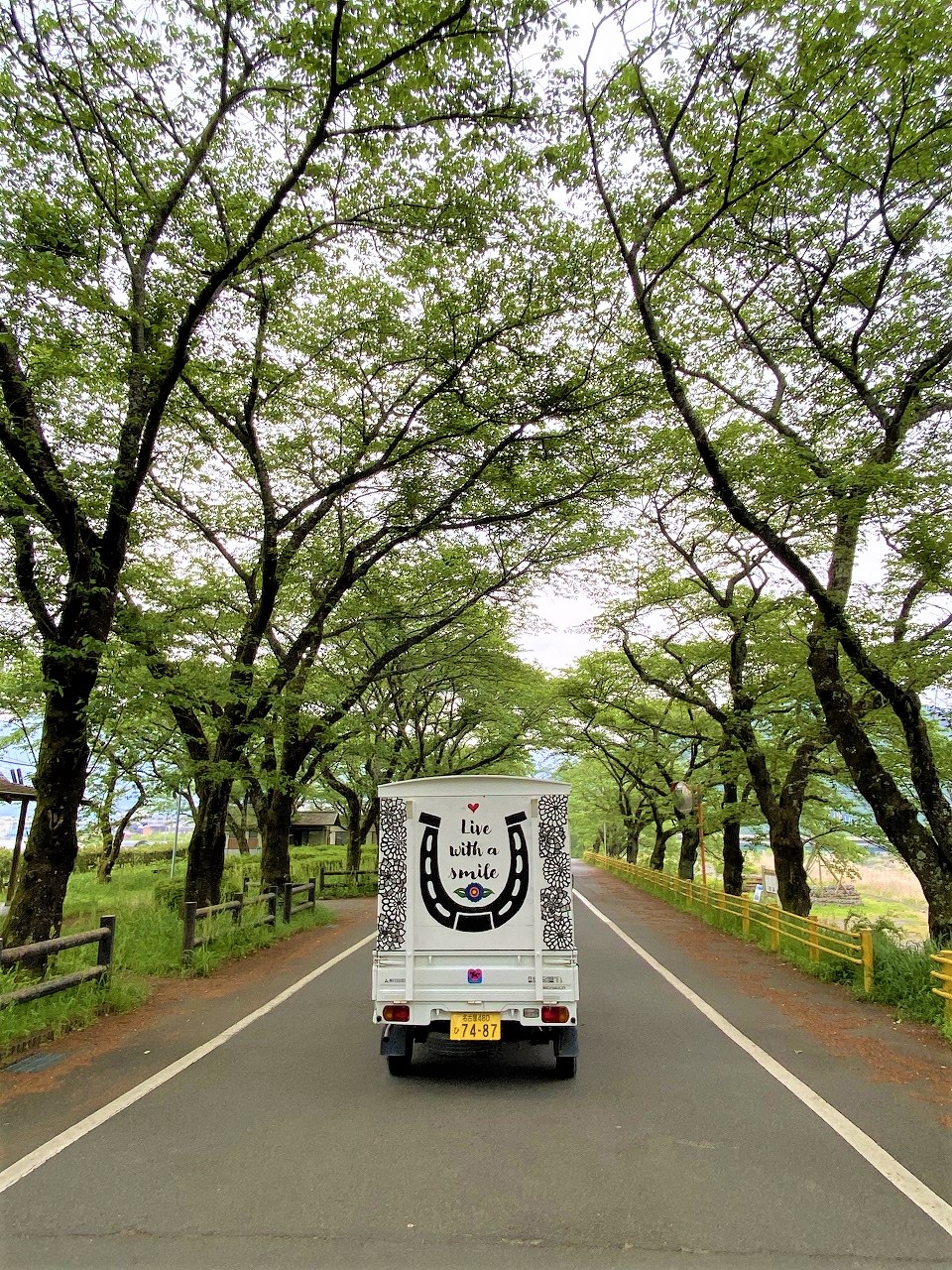 マツ建ヒーちゃん！さがら草競馬出場！！！ 画像